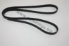 AUTOMEGA 30100360917 V-Ribbed Belts